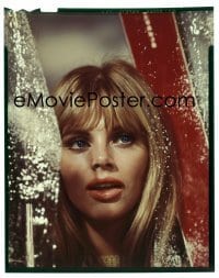 4d251 BRITT EKLAND 4x5 transparency 1960s super close up of the sexy Swedish blonde star!