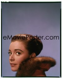 4d030 MARISA PAVAN 8x10 transparency 1955 head & shoulders Paramount portrait wearing fur!