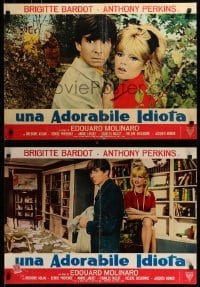 4f596 AGENT 38-24-36 group of 5 Italian 19x26 pbustas 1965 sexy Brigitte Bardot & Antony Perkins!