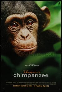4g182 CHIMPANZEE advance DS 1sh 2012 great image of really cute ape!!