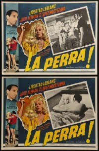 4j510 LA PERRA 8 Mexican LCs 1967 super sexy blonde Libertad Leblanc, directed by Emilio Gomez!