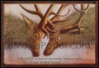 4r136 POLAND 26x38 Polish travel poster 1980s artwork of deer locking horns!