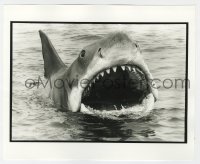4x063 JAWS deluxe candid 8x10 file photo 1975 super c/u of Bruce the shark w/mouth open by Goldman!