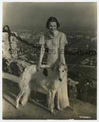 4x688 OLIVIA DE HAVILLAND 7.75x9.5 still 1937 at Riverside Mission w/her Russian Wolf Hound!