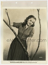 4x692 OLIVIA DE HAVILLAND 8x11 key book still 1940s beautiful smiling portrait by tree branch!