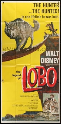 5a578 LEGEND OF LOBO 3sh 1963 Walt Disney, King of the Wolfpack, Wenzel art of wolf being hunted!