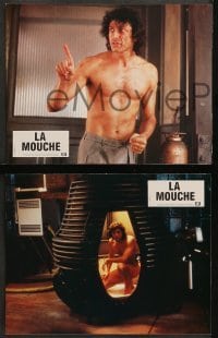 5c416 FLY 12 French LCs 1987 David Cronenberg sci-fi remake, Jeff Goldblum, Geena Davis!