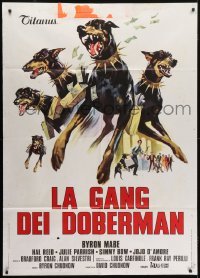 5j406 DOBERMAN GANG Italian 1p 1973 best different art of criminals with killer dogs robbing bank!