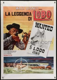 5j490 LEGEND OF LOBO Italian 1p R1970s Walt Disney, different image of wolf on wanted poster!
