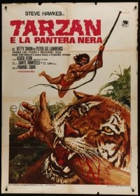 5j590 TARZAN & THE RAINBOW Italian 1p 1972 Crovato art of Steve Hawkes & tiger biting arm, rare!