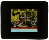 5m423 ALOMA OF THE SOUTH SEAS glass slide 1941 sexy tropical Dorothy Lamour in sarong & Jon Hall!