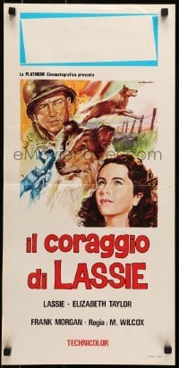 5p856 COURAGE OF LASSIE Italian locandina R1960s art of Elizabeth Taylor & famous dog by soldier!