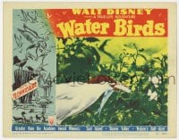 5r955 WATER BIRDS LC #2 1952 Walt Disney True-Life, great c/u of birth with fish in its mouth!