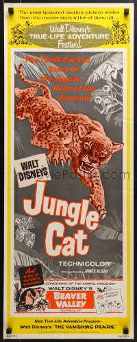 5t037 BEAVER VALLEY/JUNGLE CAT insert 1964 Walt Disney double-bill, cool art of leaping big cat!