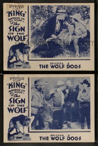 5w956 SIGN OF THE WOLF 2 chapter 6 LCs 1931 serial from Jack London's story, The Wolf Dogs!