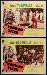 5w990 VOODOO TIGER 2 LCs 1952 Johnny Weissmuller as Jungle Jim & sexy Jeanne Dean in border art!