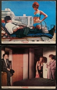 5w321 TONY ROME 8 color 11x14 stills 1967 detective Frank Sinatra in action, sexy Jill St. John!