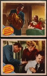 5w367 CALLING BULLDOG DRUMMOND 7 LCs 1951 Walter Pidgeon & Margaret Leighton, Scotland Yard!