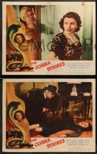 5w672 COBRA STRIKES 3 LCs 1948 Richard Fraser, Richard Loo, Sheila Ryan & Leslie Brooks, film noir!
