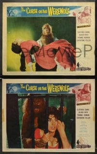 5w437 CURSE OF THE WEREWOLF 6 LCs 1961 Hammer, Oliver Reed, sexy Yvonne Romain, cool monster scenes!