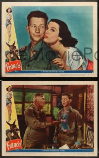 5w504 FRANCIS THE TALKING MULE 5 LCs 1949 images of Donald O'Connor, Patricia Medina & the donkey!