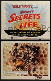 5w270 SECRETS OF LIFE 8 LCs 1956 Disney's most amazing & miraculous True Life Adventure feature!