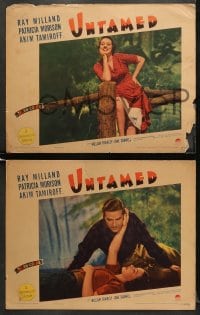 5w482 UNTAMED 6 LCs 1940 great images of Ray Milland and sexiest Patricia Morison, Akim Tamiroff!