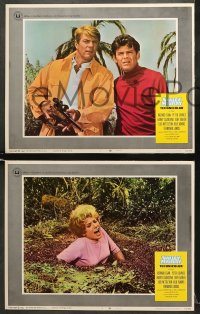 5w415 VALLEY OF MYSTERY 7 LCs 1967 Peter Graves, sexy Lois Nettleton in peril, Harry Guardino!