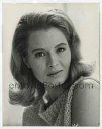 5x067 ANGIE DICKINSON 8x10.25 still 1960s unretouched head & shoulders portrait of the pretty star!