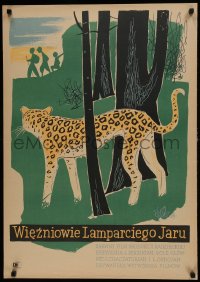 6c363 WIEZNIOWIE LAMPARCIEGO JARU Polish 24x34 1958 Sopocko art of leopard stalking people, rare!