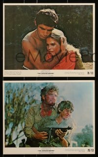 6d114 ADVENTURERS 6 color 8x10 stills 1970 Harold Robbins, Candice Bergen, Borgnine, Brazzi!