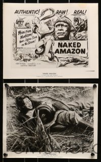 6d257 NAKED AMAZON 17 8x10 stills 1955 South American jungle adventure, great images and art!