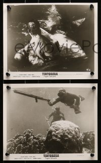 6d685 TINTORERA 5 8x10 stills 1977 best monstrous killer tiger shark and diver horror images!