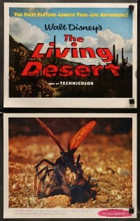6w019 LIVING DESERT 9 LCs 1953 first feature-length Disney True-Life adventure!