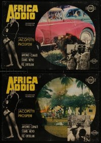6y799 AFRICA ADDIO group of 3 Italian 19x27 pbustas 1966 Jacopetti & Prosperi, gave you Mondo Cane!