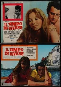 6y791 TIME TO LIVE group of 8 Italian 19x26 pbustas 1969 Bernard Paul, Marina Vlady, de Pasquale!