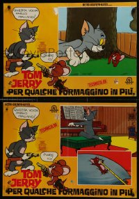 6y793 TOM E JERRY PER QUALCHE FORMAGGINO IN PIU group of 6 Italian 19x27 pbustas 1966 Tom & Jerry!