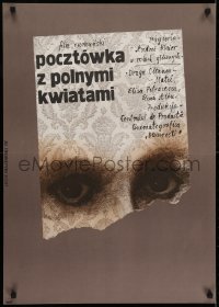 6y636 ILUSTRATE CU FLORI DE CAMP Polish 23x32 1975 close-up artwork of eyes by Lech Majewski!