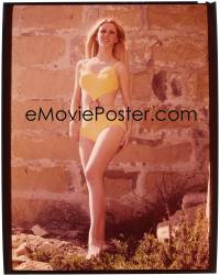 7a092 CONNIE KRESKI 8x10 transparency 1969 sexy Playboy Playmate of the Year in yellow swimsuit!