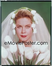 7a097 ELIZABETH MONTGOMERY 8x10 transparency 1963 close portrait in bridal gown by Mal Bulloch!
