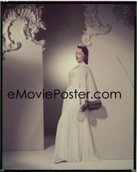7a116 JEANNE CRAIN 8x10 transparency 1950s full-length portrait posing in beautiful white gown!