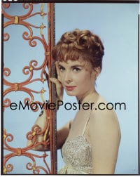 7a130 MARGARET O'BRIEN 8x10 transparency 1950s great glamour portrait all grown up & pretty!