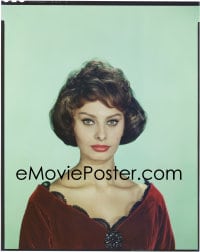 7a138 SOPHIA LOREN 8x10 transparency 1950s sexy head & shoulders portrait in red velvet gown!