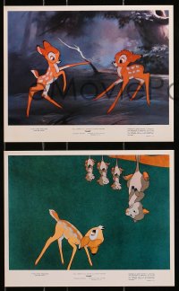 7d248 BAMBI 3 color 8x10 stills R1975 Walt Disney cartoon deer classic, great art, deer, possum!