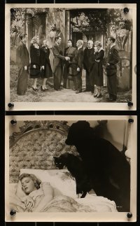 7d730 BLACK CAT 4 8x10 stills 1941 Basil Rathbone, Crawford & two with low billed Alan Ladd!