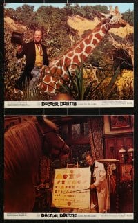 7d081 DOCTOR DOLITTLE 8 color 8x10 stills R1969 Samantha Eggar, Rex Harrison speaks w/animals!