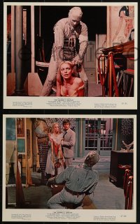 7d236 MUMMY'S SHROUD 4 color 8x10 stills 1967 Hammer horror, Andre Morell, images of the creature!