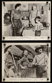 7d887 RETURN OF THE TEXAN 3 8x10 stills 1952 images of Dale Robertson, Joanne Dru, Walter Brennan!