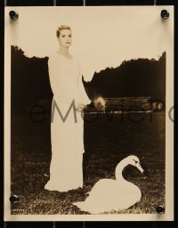 7d898 SWAN 3 deluxe 8x10 stills 1956 wonderful images of beautiful Grace Kelly & Guinness!