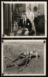 7d617 UNDER THE BLACK EAGLE 7 8x10 stills 1928 Flash the canine German shepherd dog, Forbes, Day!